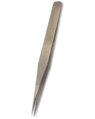 Spatule pagaie courte